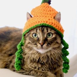 Halloween Cat Dog Knitted Pet Hat (Option: Pumpkin Hat-M)