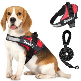 Pet Clothing Dog Couple Chest Strap Rope (Option: Red-XL)