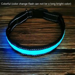 LED Luminous Dog Collar Highlight Reflective Leather Reflective Stripe Ribbon (Option: Colorful-L)