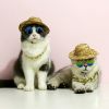 Cute Dog cat Glasses Pet Goggles Glasses Suitable For Puppy Cat Photo Props