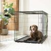 Double-Door Foldable Metal Wire Dog Crate with Divider; X-Large; 42"