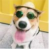 Cute Dog cat Glasses Pet Goggles Glasses Suitable For Puppy Cat Photo Props