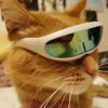 Pet Goggles Sunglasses Photography Props Pet Accessories