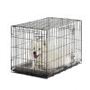 Double-Door Folding Metal Wire Dog Crate with Divider; Large; 36"